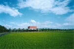 福井県立図書館 ・福井県文書館